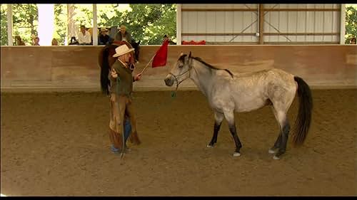 A documentary on Buck Brannaman, a renown "horse whisperer" who helps cowboys connect with their animals.