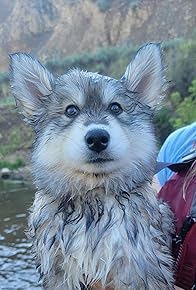 Primary photo for Braving Rapids