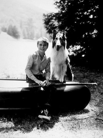 "Lassie" Jon Provost & Lassie C. 1961 CBS