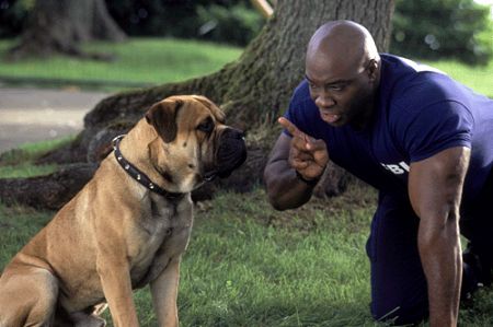 Michael Clarke Duncan and Dan O'Connell in See Spot Run (2001)