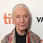 Jane Goodall