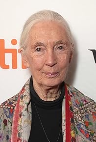 Primary photo for Jane Goodall