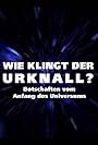 Wie klingt der Urknall? Botschaften vom Anfang des Universums (2019)