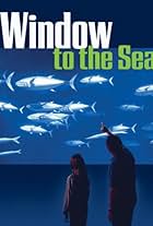 Window to the Sea (2006)