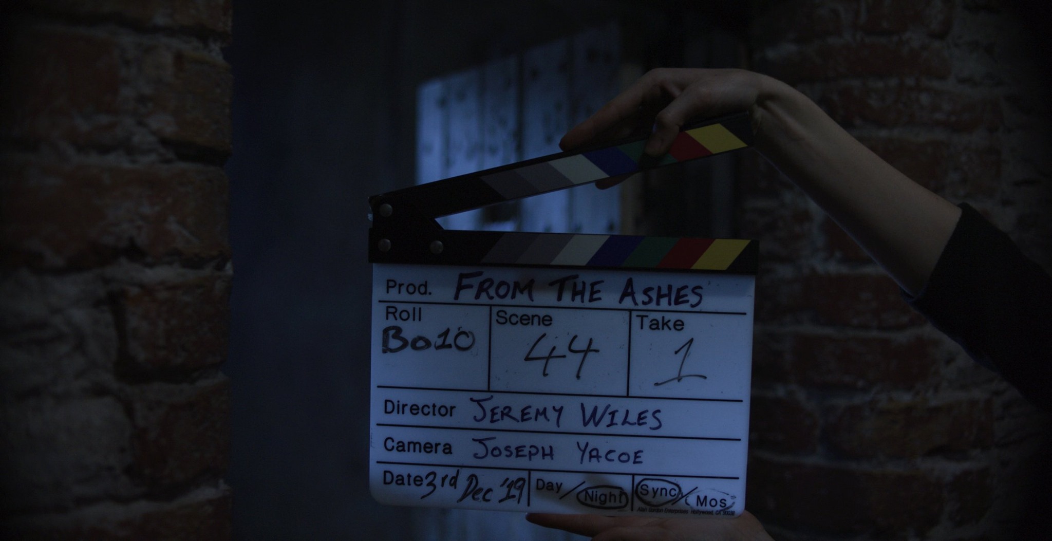 From the Ashes (2024)