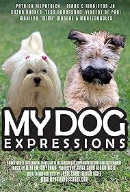 My Dog Expressions (2018)