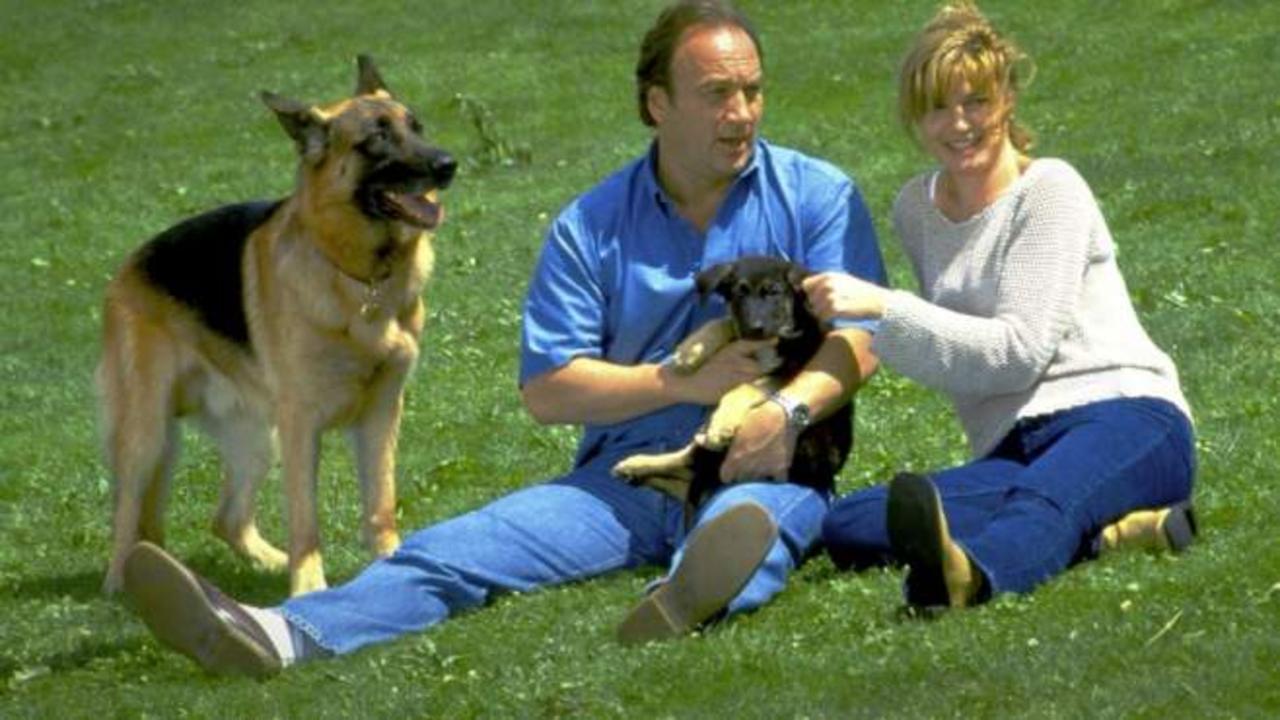 Jim Belushi and Barbara Tyson in K-9: P.I. (2002)