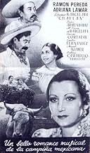 View Poster