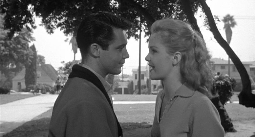 Tuesday Weld and Michael Callan in Because They're Young (1960)