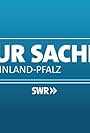 Zur Sache Rheinland-Pfalz! (2011)