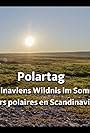 Polartag / Polarnacht (2019)