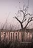 Beautiful Day (2020) Poster