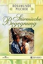 Stürmische Begegnung (1993)