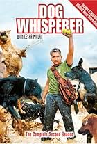 Dog Whisperer with Cesar Millan