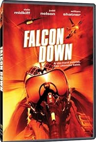 Primary photo for Falcon Down