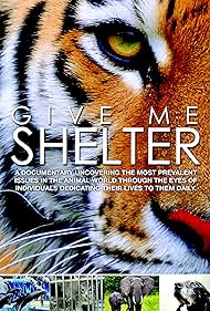 Give Me Shelter (2014)