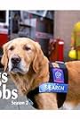 Dogs with Jobs (2000)