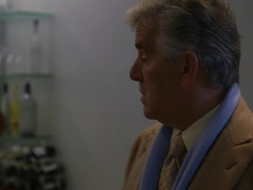 Dennis Farina in Law & Order (1990)