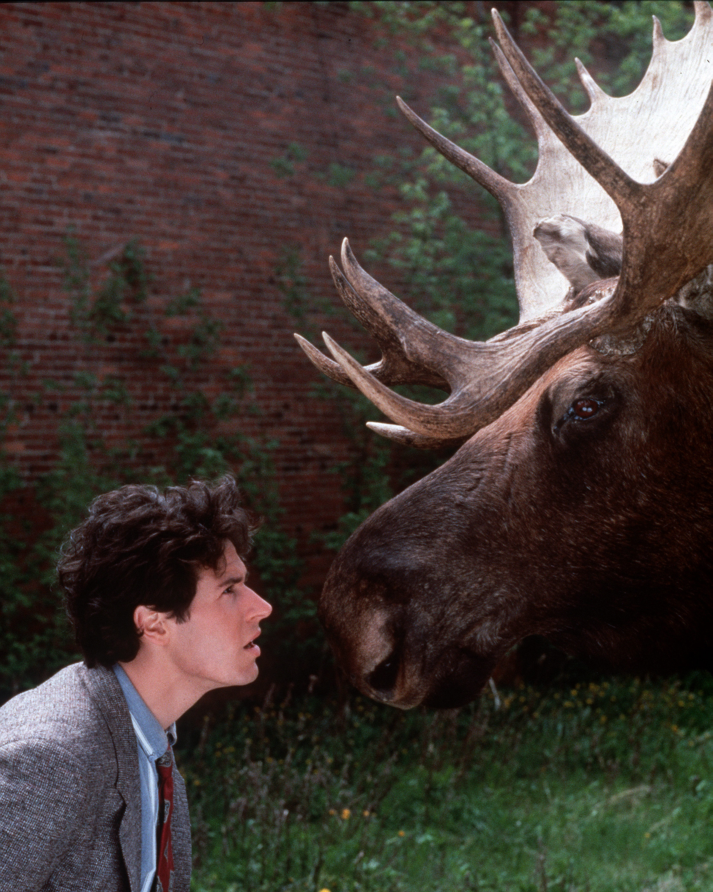 Rob Morrow in Northern Exposure (1990)