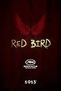 Red bird