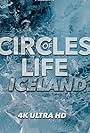 Circles of Life (2011)