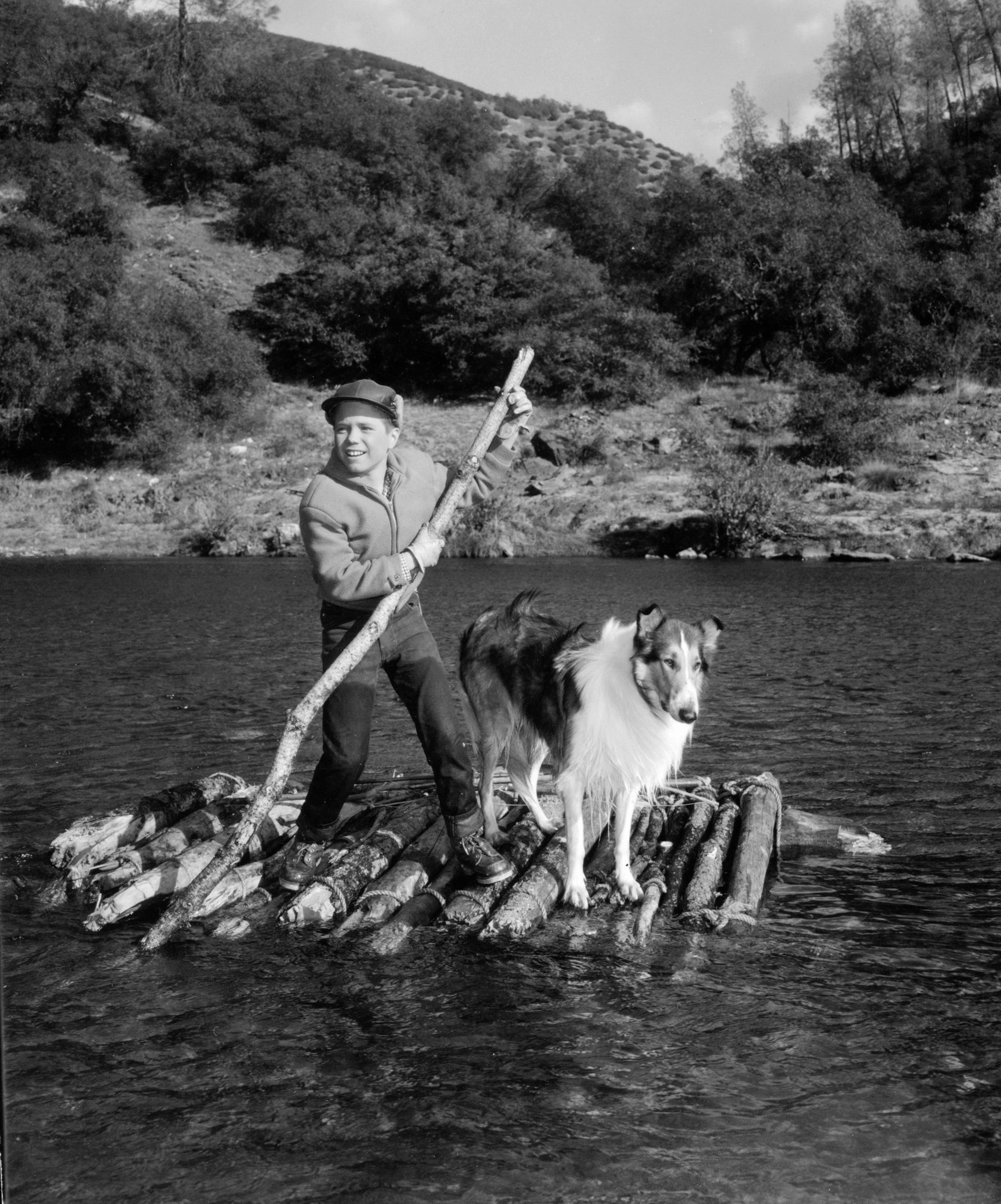 Jon Provost, Lassie the Dog, and Lassie in Lassie (1954)