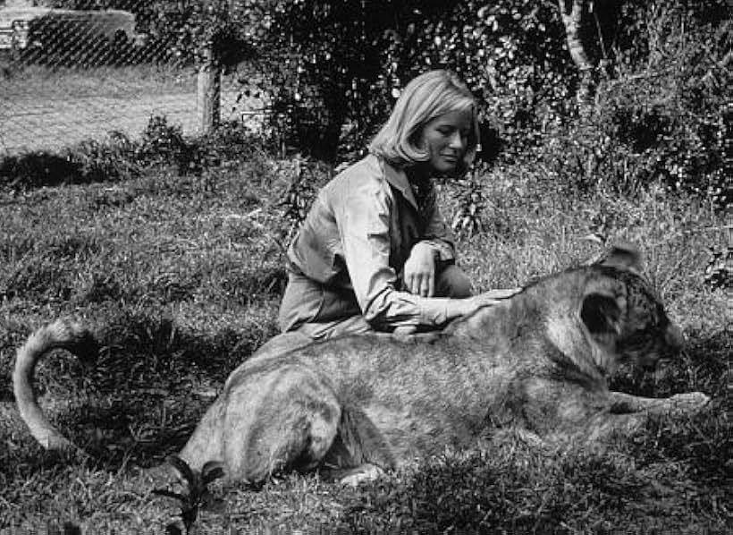 "Born Free," Virginia McKenna with Lioness 1966 / Columbia