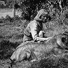 "Born Free," Virginia McKenna with Lioness 1966 / Columbia