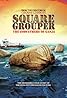 Square Grouper (2011) Poster