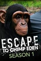 Escape to Chimp Eden