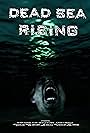 Dead Sea Rising (2012)