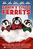 Santa's Little Ferrets (TV Movie 2014) Poster