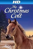 The Christmas Colt (2013)