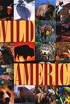 Wild America