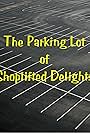 The Parking Lot of Shoplifted Delights (2002)