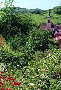 Primary photo for Der Kaiserstuhl: In der Hitze des Oberrheins