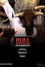 Bull Runners of Pamplona (2011)