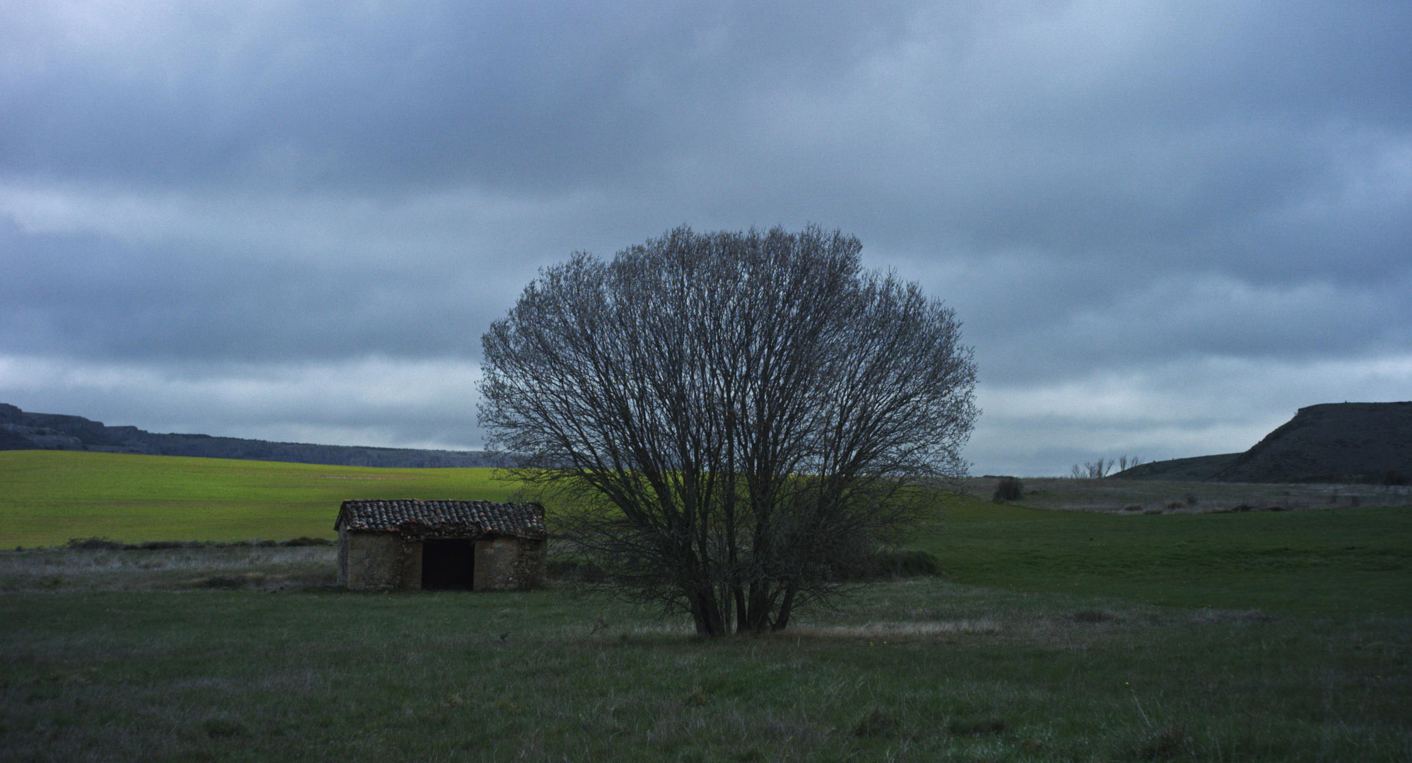 Con el viento (2018)