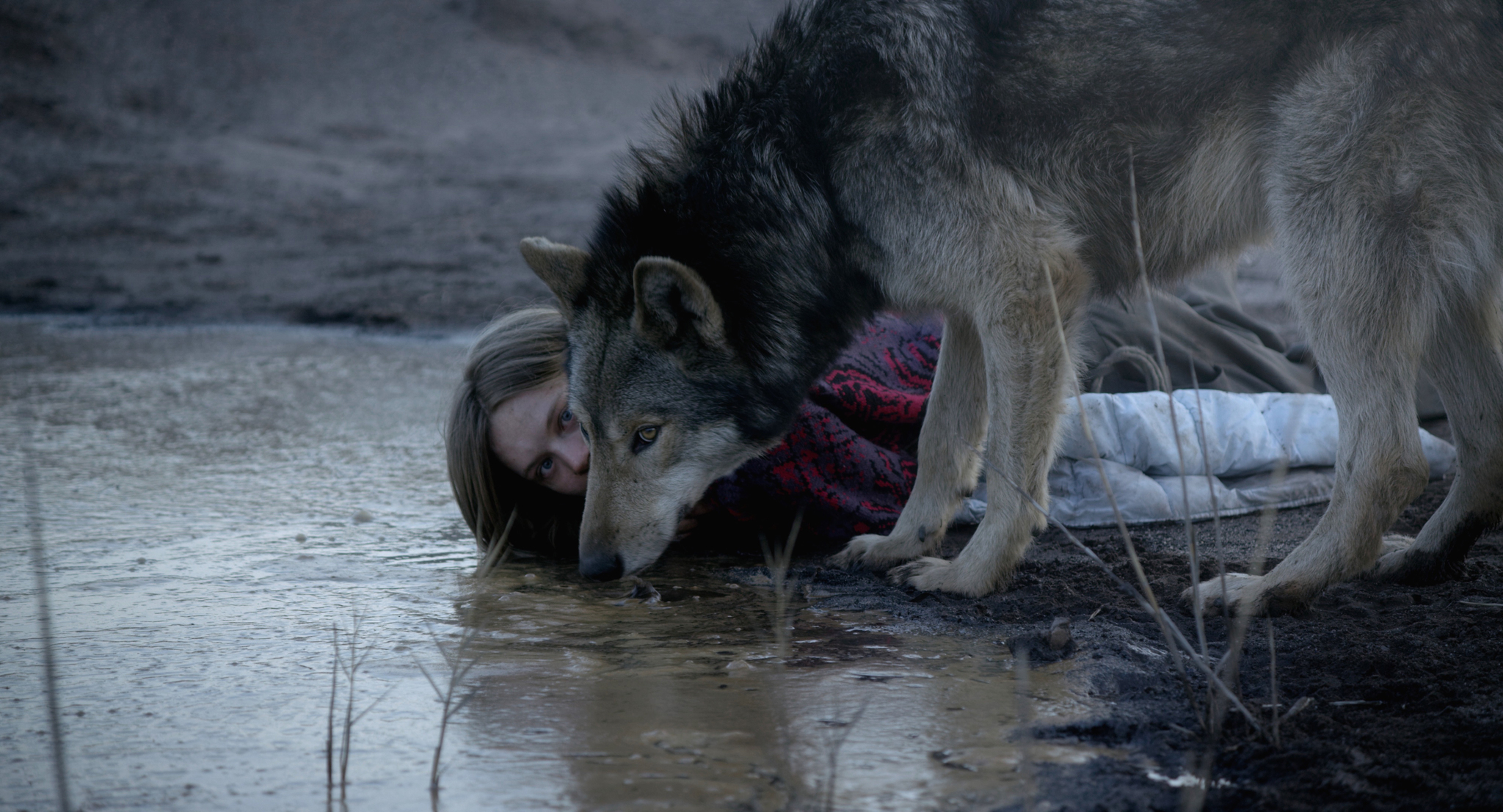 Lilith Stangenberg in Wild (2016)