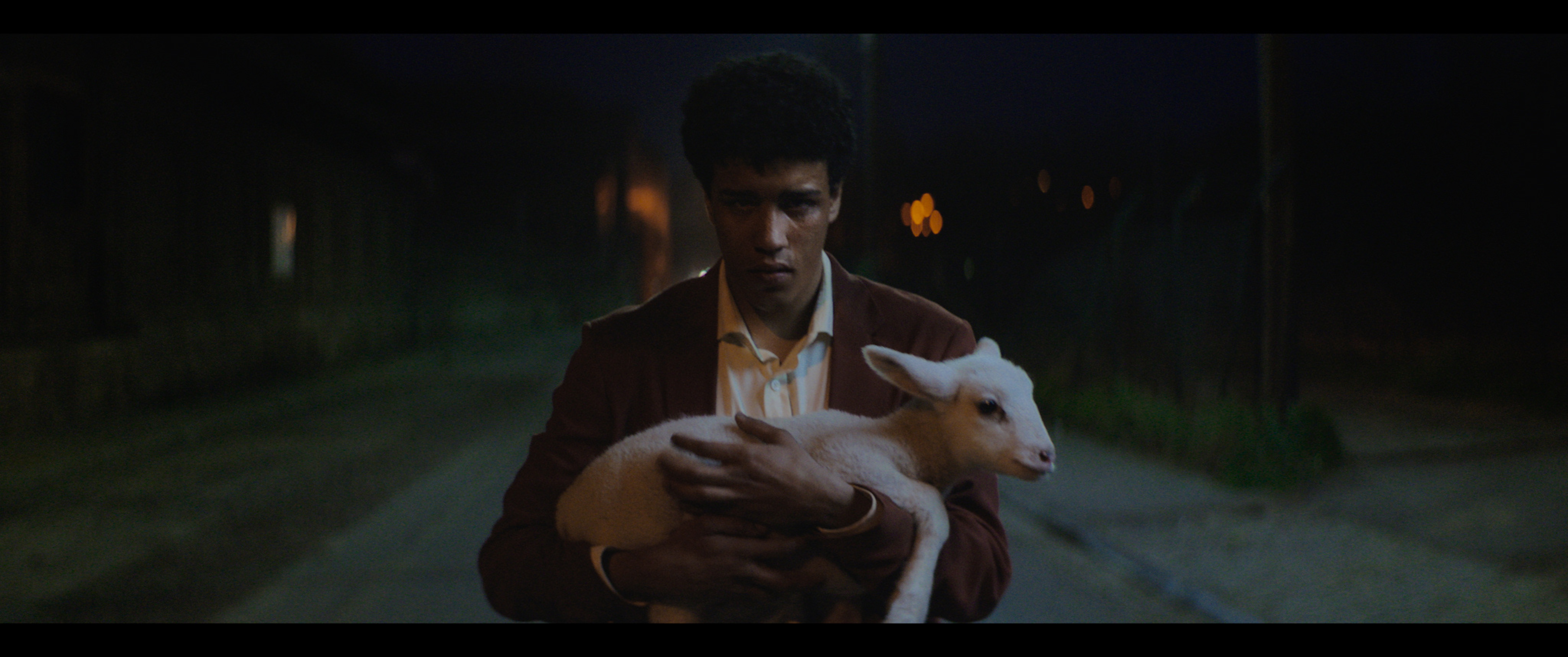 Stray Sheep (2018)