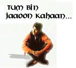 Vikas Bhalla in Tum Bin Jaaoon Kahaan (2003)