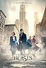 Fantastic Beasts and Where to Find Them: Shaping the World of Fantastic Beasts (2017)