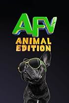 America's Funniest Videos: Animal Edition