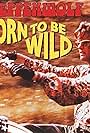 Steppenwolf: Born to be Wild (1968)