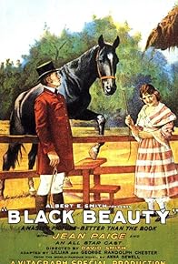 Primary photo for Black Beauty