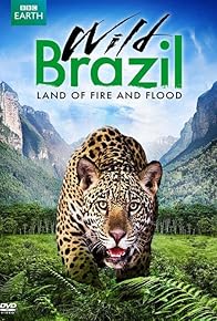 Primary photo for Wild Brazil