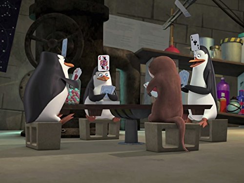 Nicole Sullivan, Jeff Bennett, Tom McGrath, and James Patrick Stuart in The Penguins of Madagascar (2008)