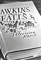 Hawkins Falls: A Television Novel