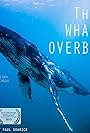 The whale overboard (2014)