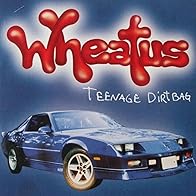 Primary photo for Wheatus: Teenage Dirtbag